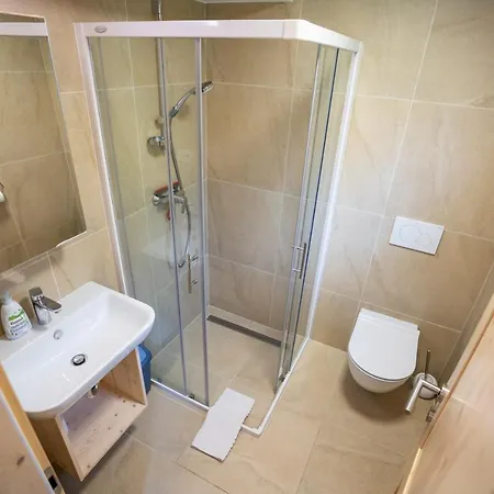 Tisa 샬레 보히니