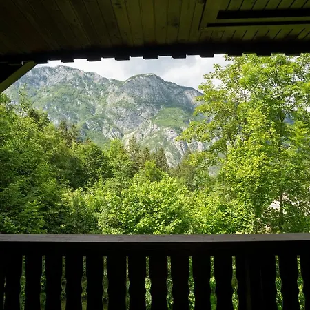 Tisa Bohinj