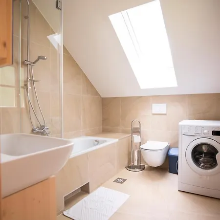 샬레 Tisa 보히니